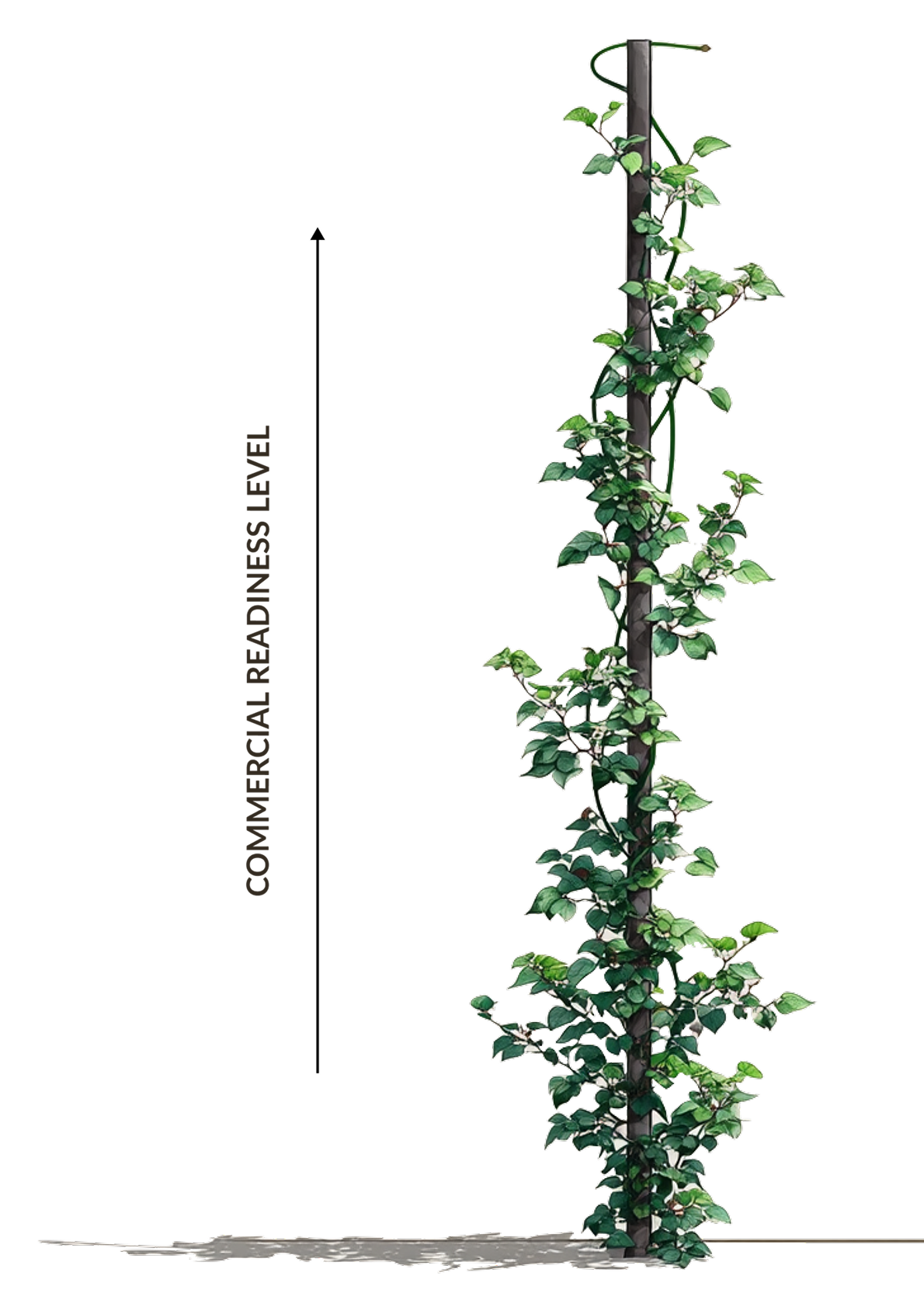 Commercial Readiness Level